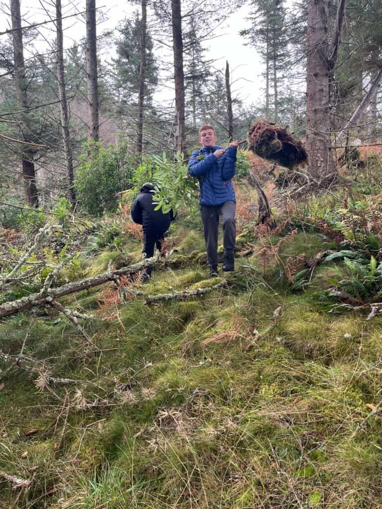 Young person walking in woodland carrying an uprooted hedge